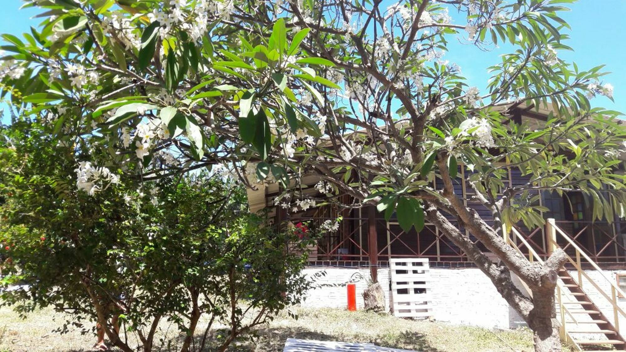 פרננדו דה נורונהה Pousada Boldro Home מראה חיצוני תמונה