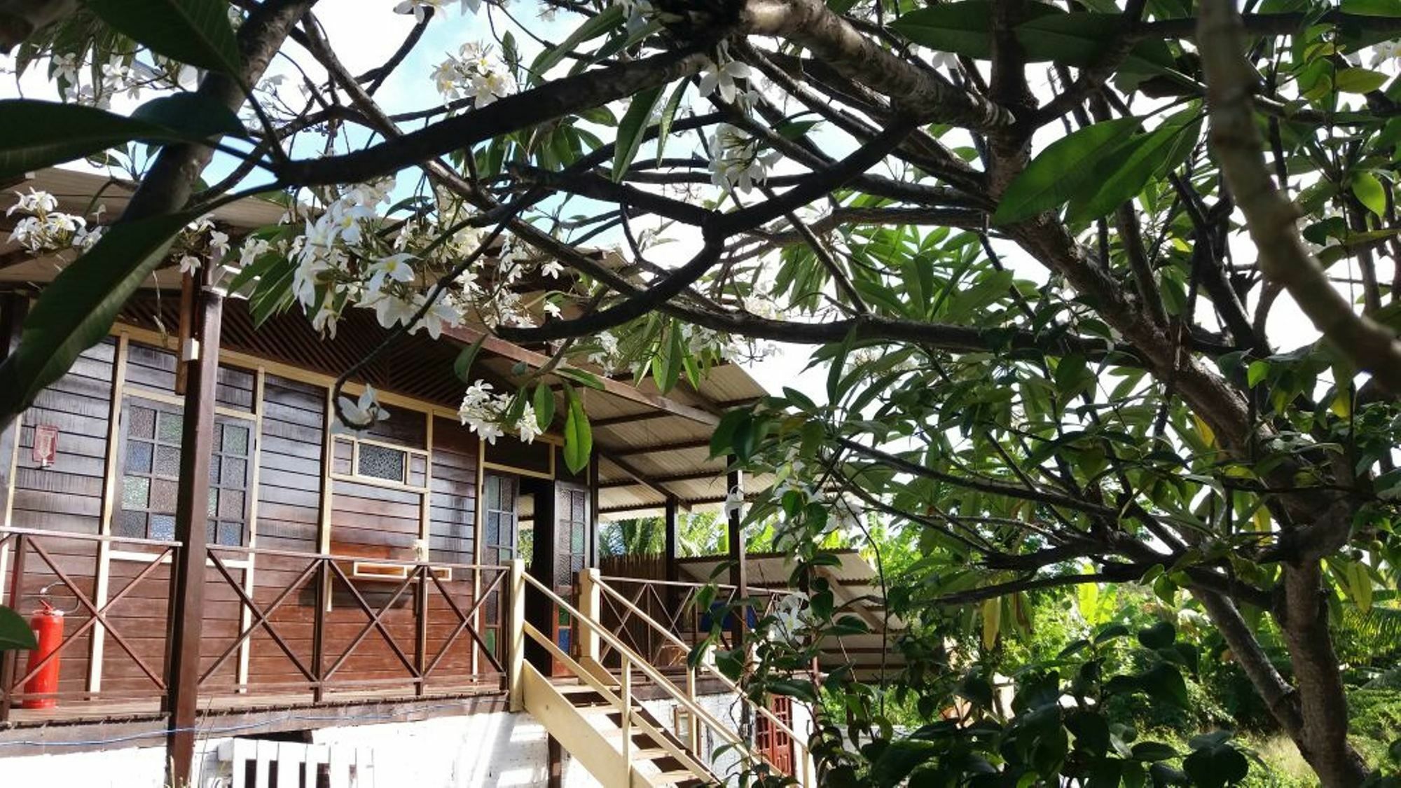 פרננדו דה נורונהה Pousada Boldro Home מראה חיצוני תמונה
